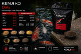 KENJI KOI Daily Koi Food – Ganzjahresfutter