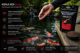 KENJI KOI Daily Koi Food – Ganzjahresfutter
