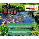 KENJI KOI Baby Koi Food 1 Aufzuchtfutter, 250 g