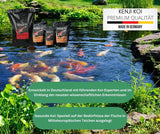 KENJI KOI Baby Koi Food 2 Aufzuchtfutter, 1 kg
