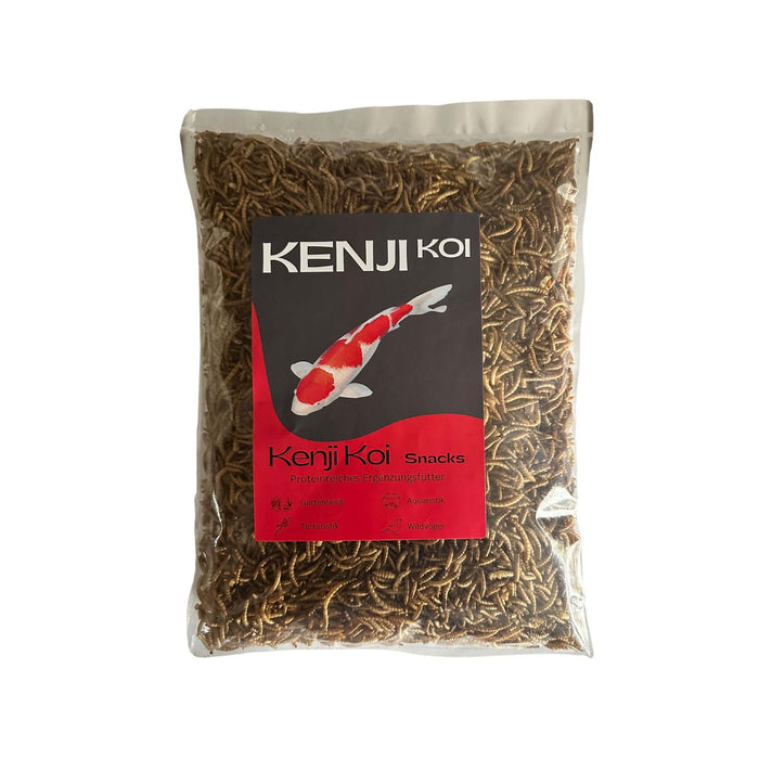 KENJI KOI Snack - Mehlwürmer