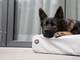 SABRO Hundebett KUDDE Outdoor