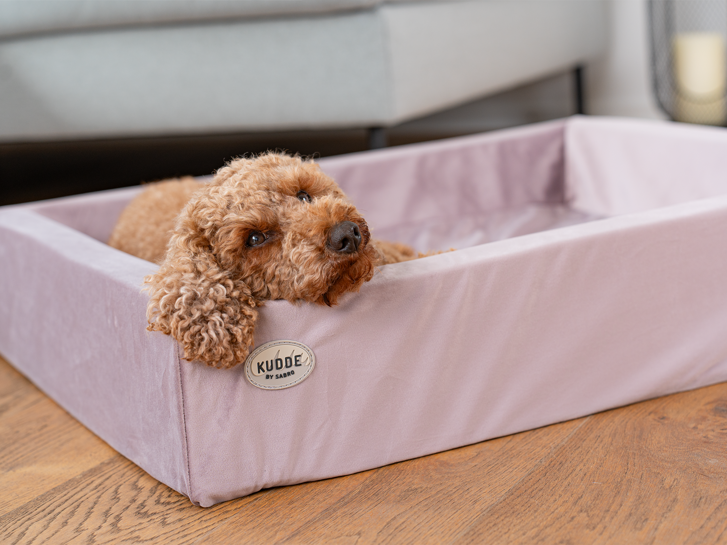 Bezug für KUDDE Samt