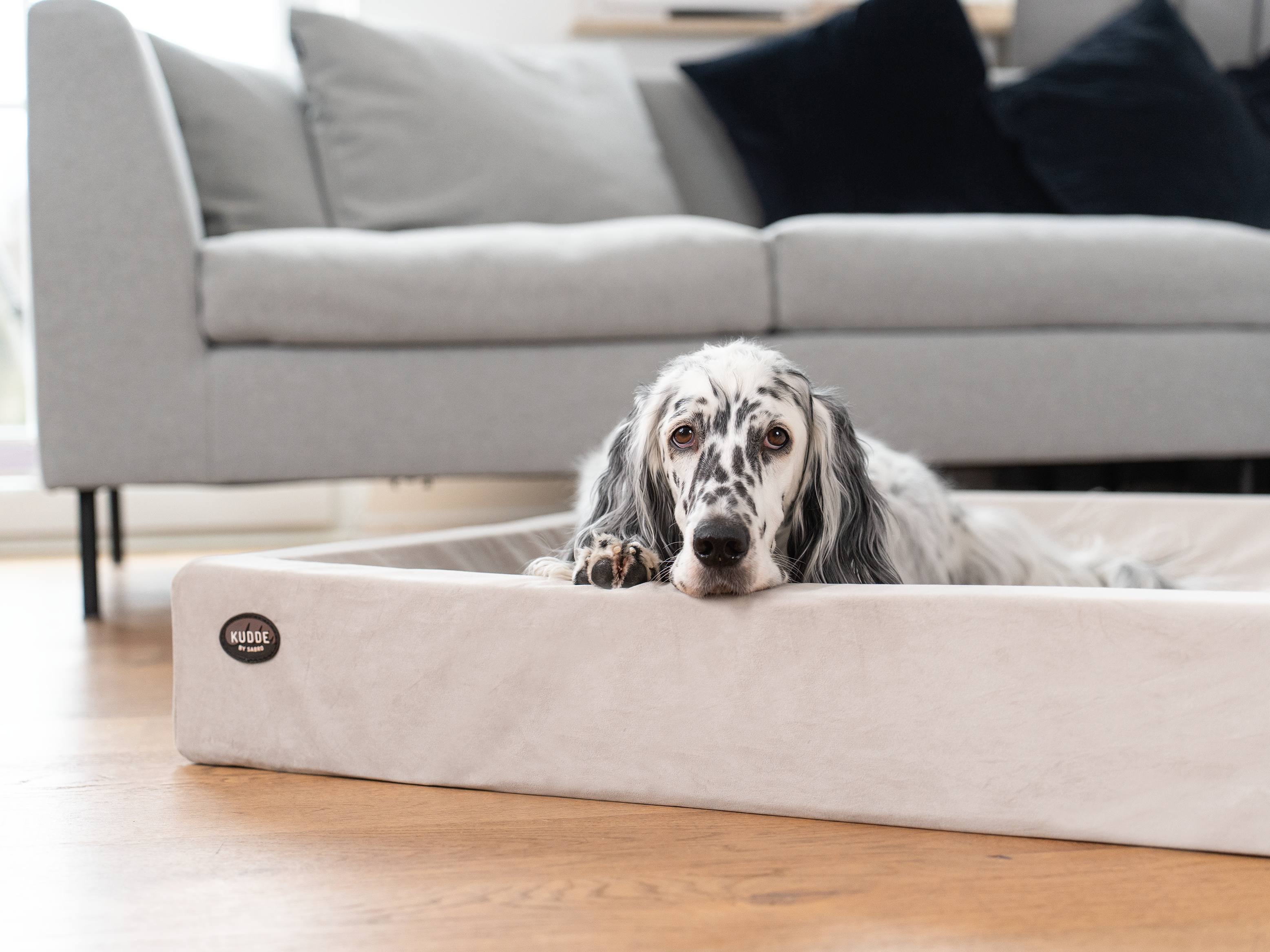 Bezug für KUDDE Samt