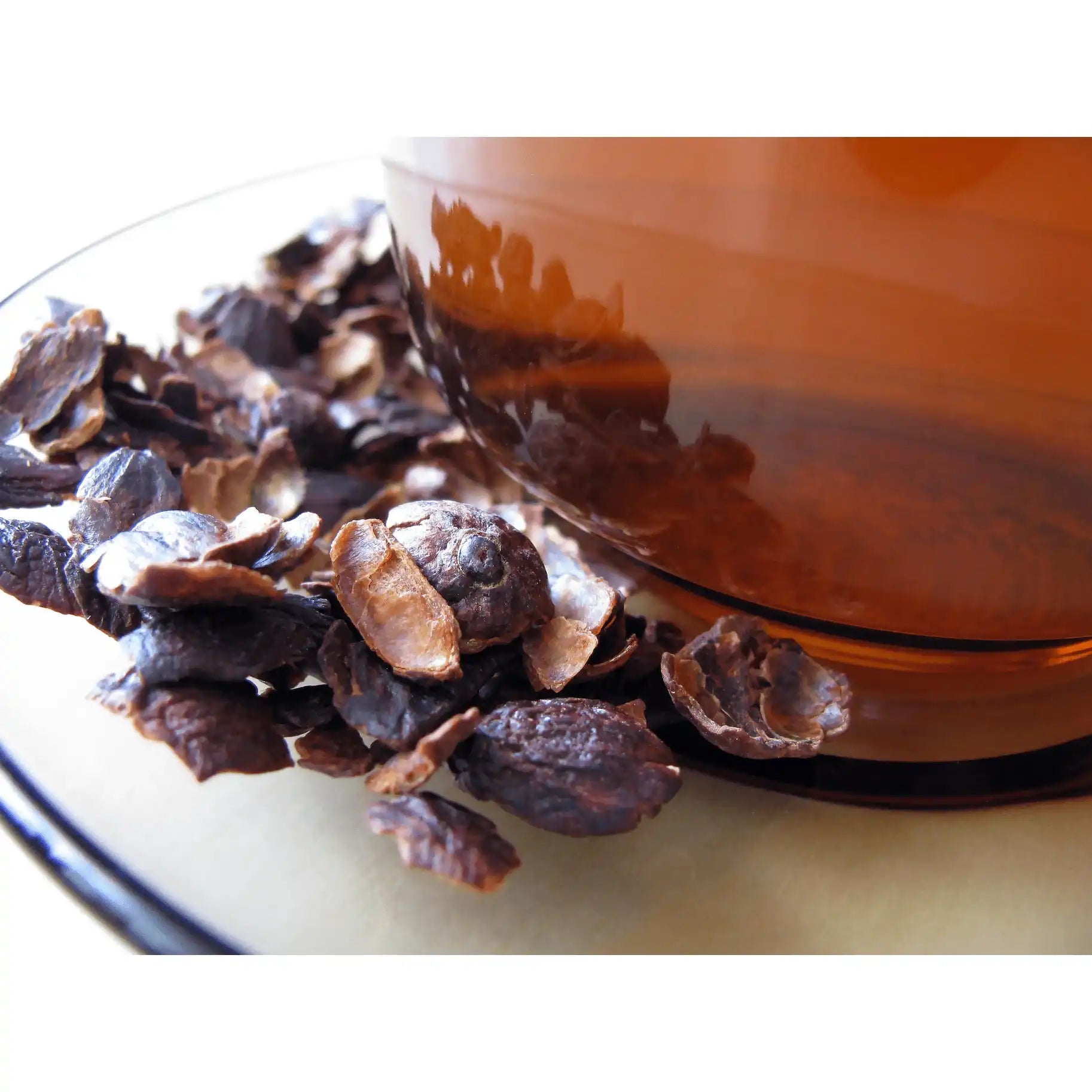 Cascara I Kaffeekirschen-Tee aus Costa Rica by True Beans Kaffeerösterei Köln