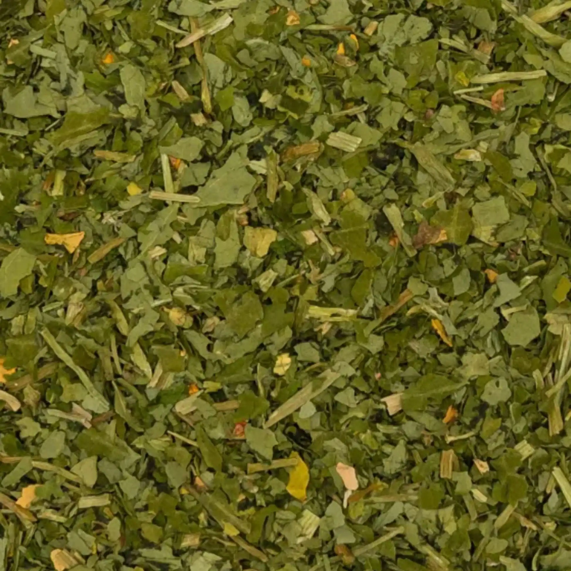 Kapuzinerkresse Für Pferde 1kg Pflanzliche Ergänzung Für Atemwege Und Abwehrkräfte Einzelfuttermittel Tropaeolum Majus by s`Queed