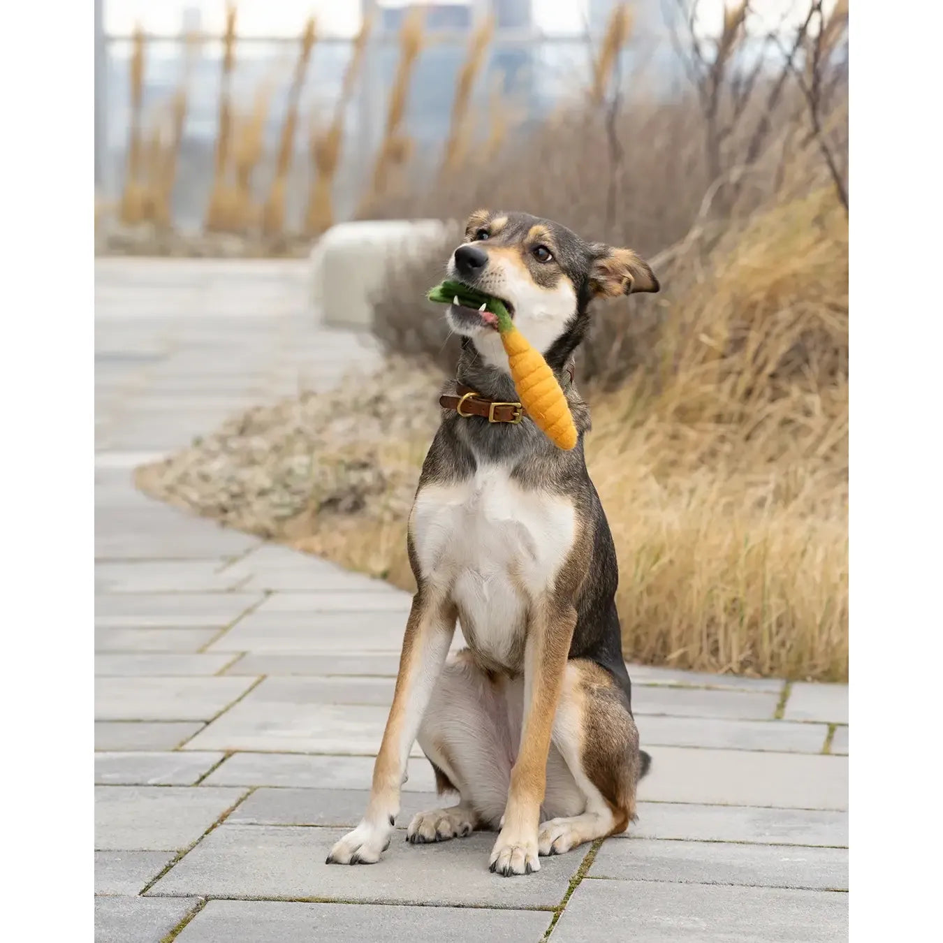 BUDDY. Hundespielzeug aus Wollfilz "Karotte"