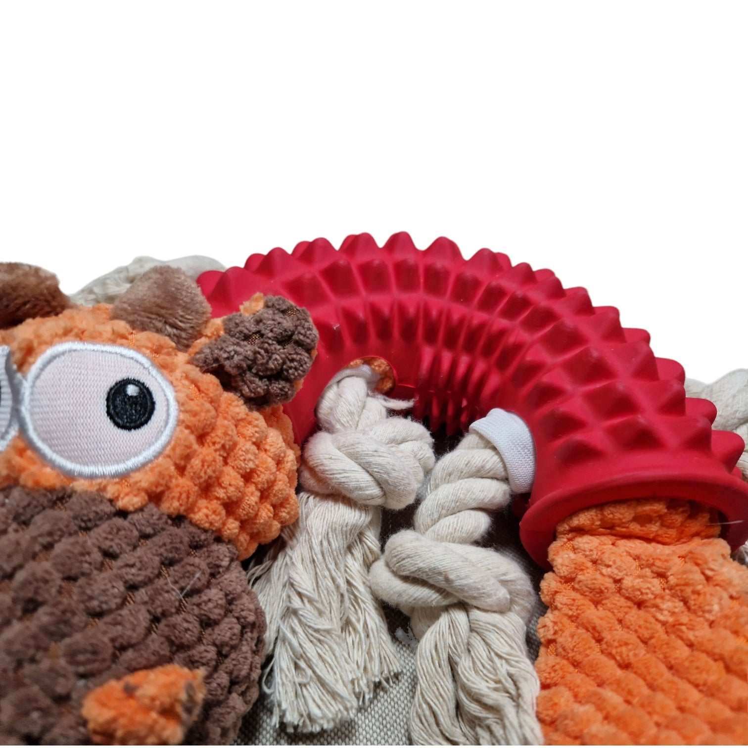 Hundespielzeug Welpe Naturkautschuk mit Seiltau aus Baumwolle by Benny Burton