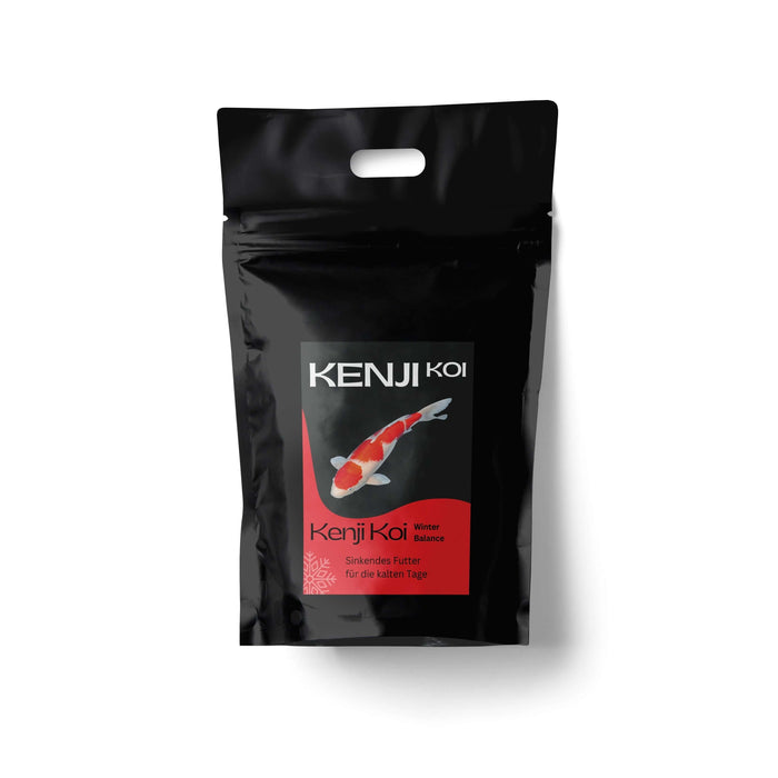 KENJI KOI Winter Balance - sinkend