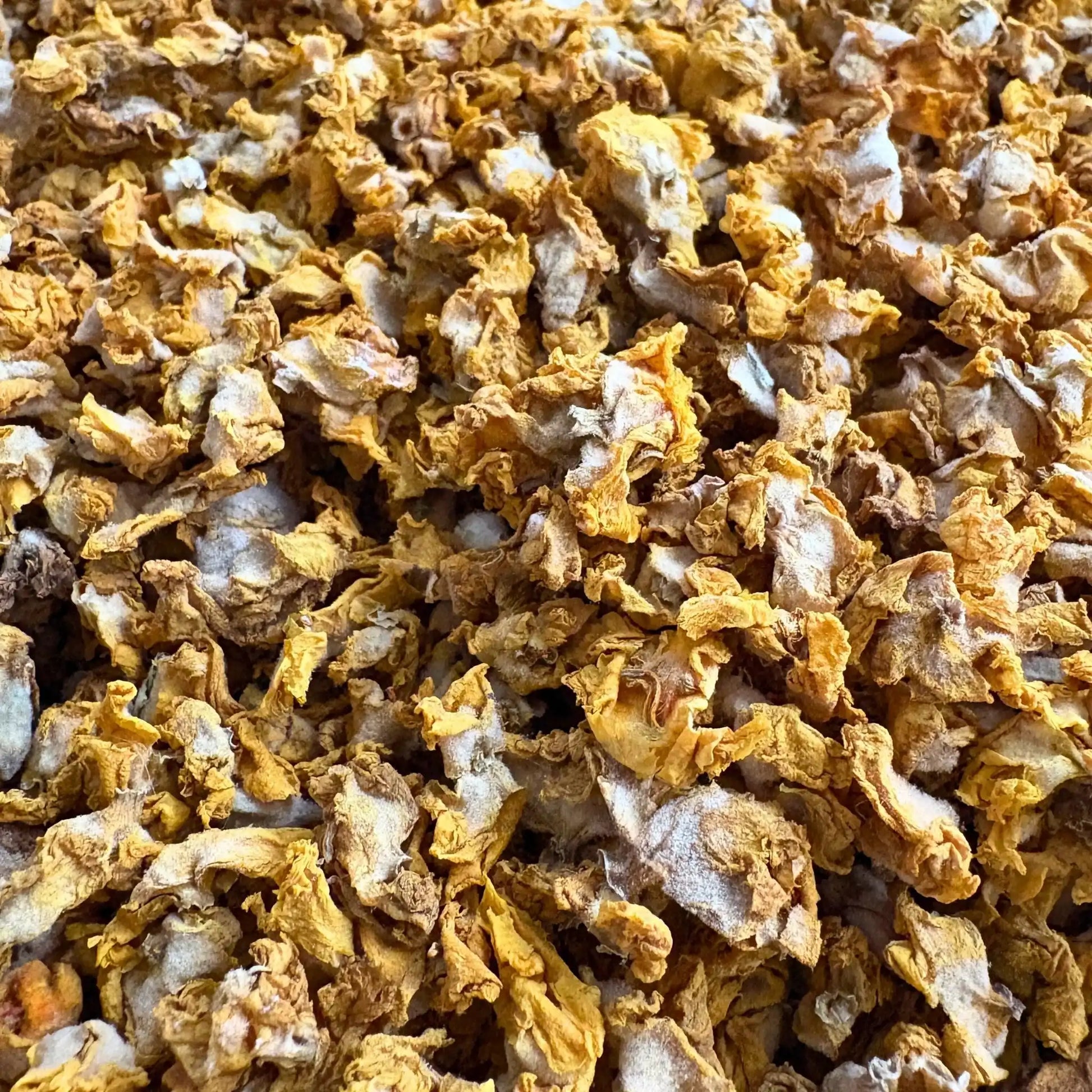 Königskerzenblüten Für Pferde 500g Bewährtes Kraut Für Atemwege Hautstoffwechsel Als Einzelfuttermittel by s`Queed