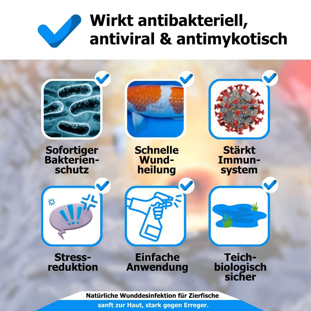AnoKath® Koi antiBac – Wundspray für Koi & Teichfische