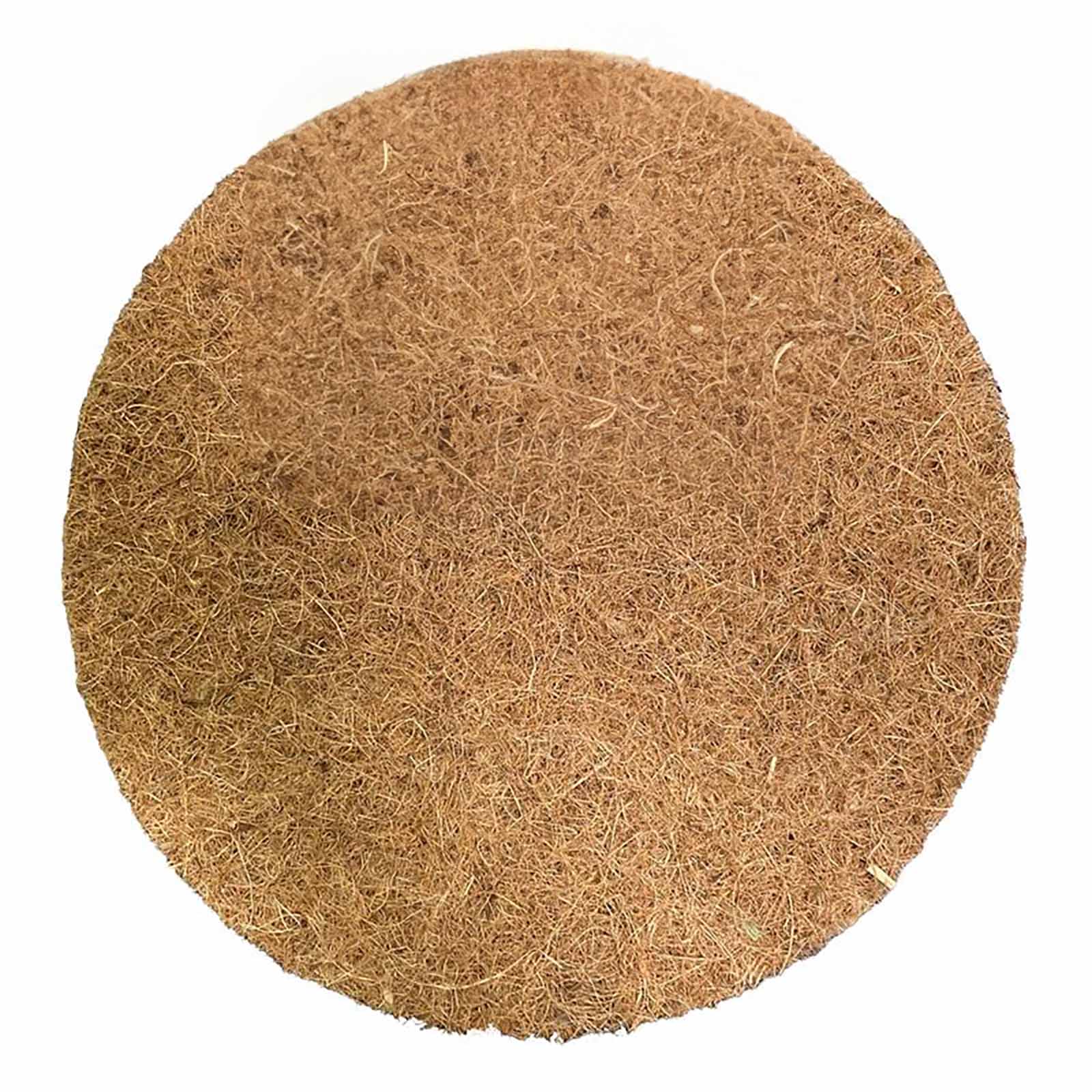 Kokosscheibe - verschiedene Größen