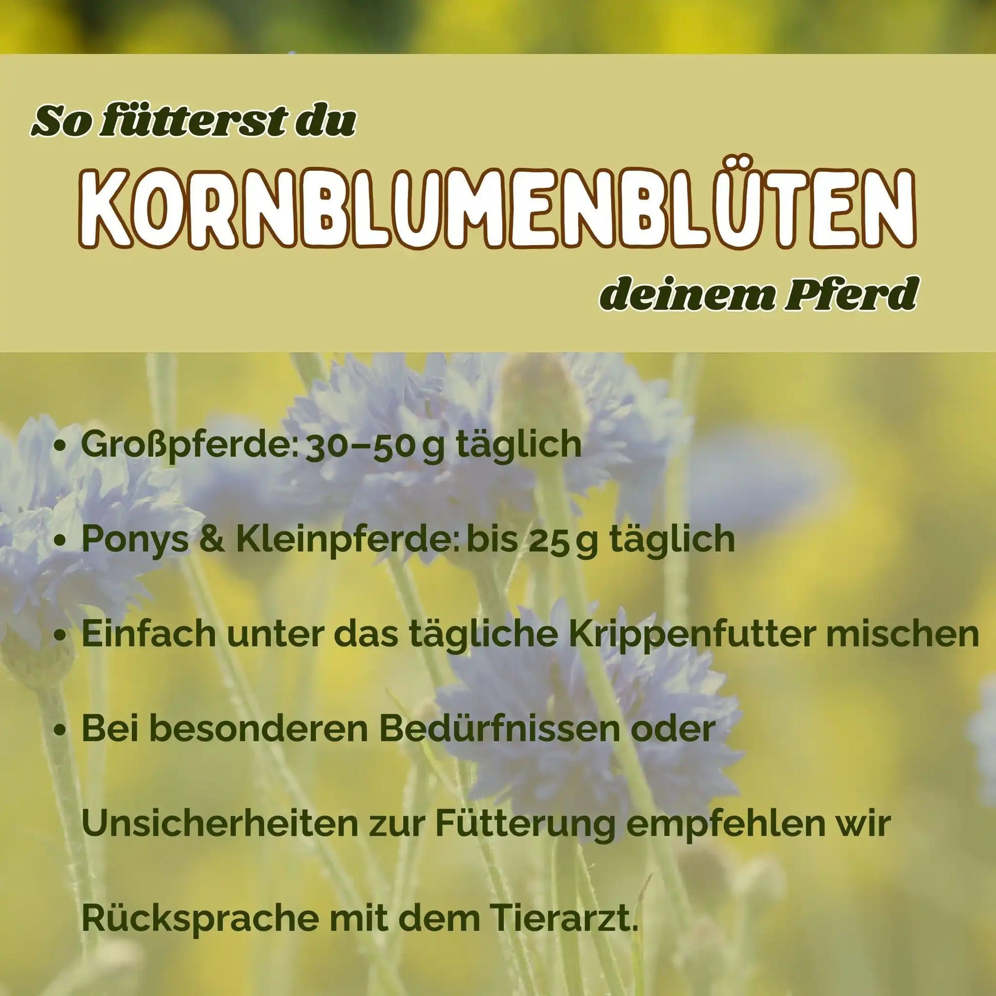 Kornblume Pferd Ganze Blüte Natürliches Zusatzfutter Zur Unterstützung Von Immunsystem Und Verdauung Und Appetit by s`Queed