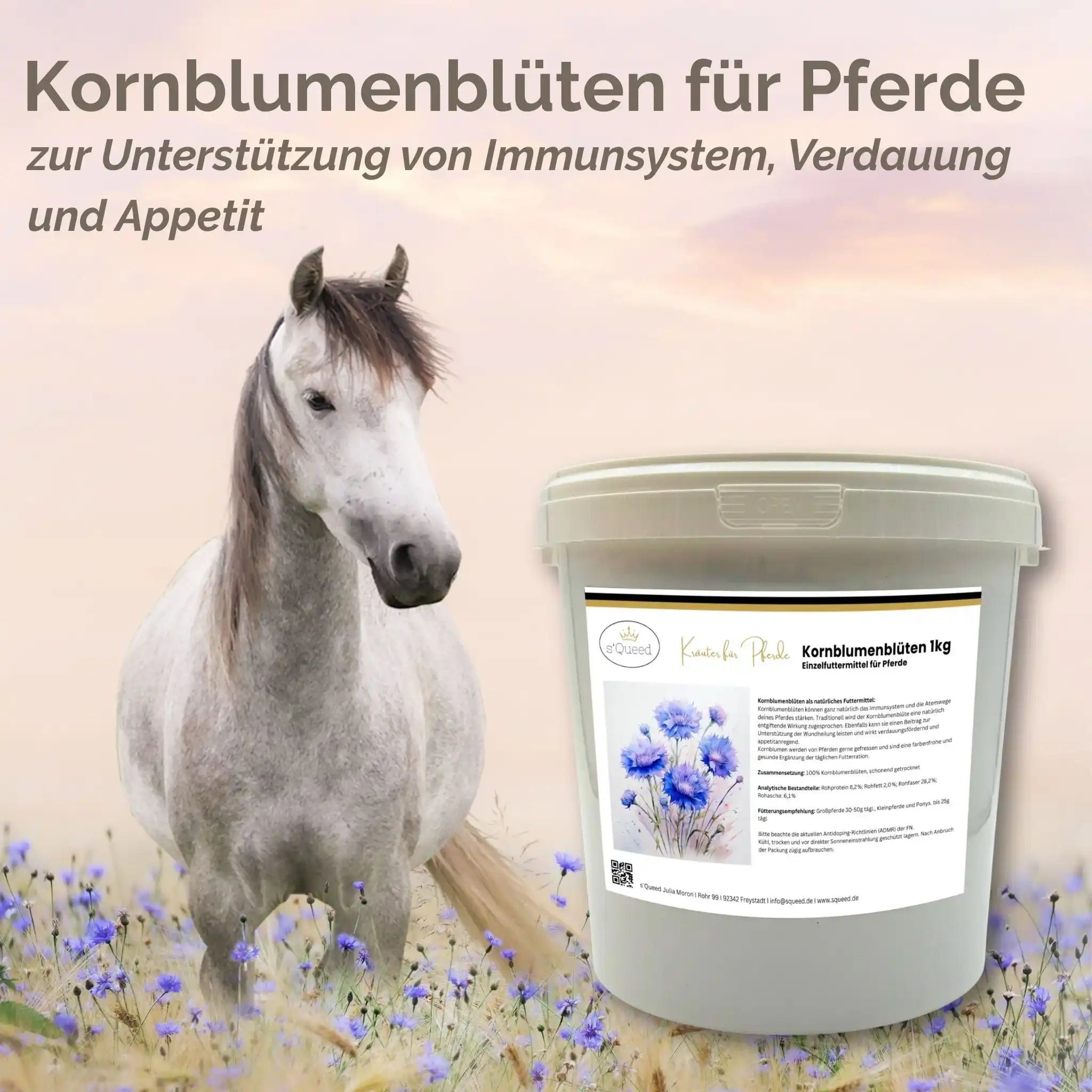 Kornblume Pferd Ganze Blüte Natürliches Zusatzfutter Zur Unterstützung Von Immunsystem Und Verdauung Und Appetit by s`Queed