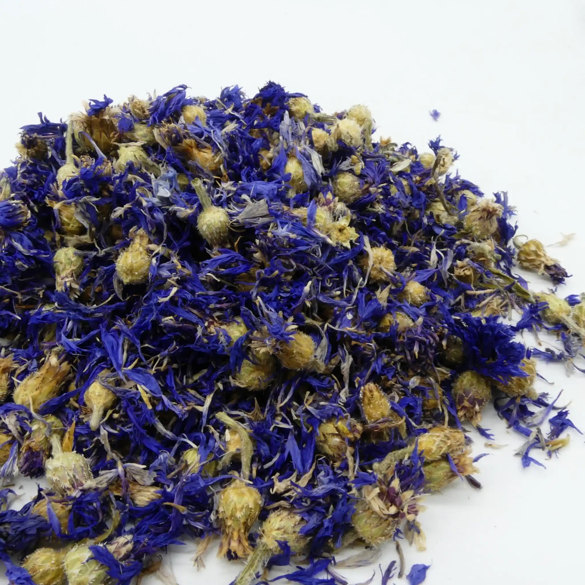 Kornblume Pferd Ganze Blüte Natürliches Zusatzfutter Zur Unterstützung Von Immunsystem Und Verdauung Und Appetit by s`Queed