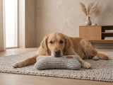 SABRO Kissen KUSCHELKNOCHEN Cord