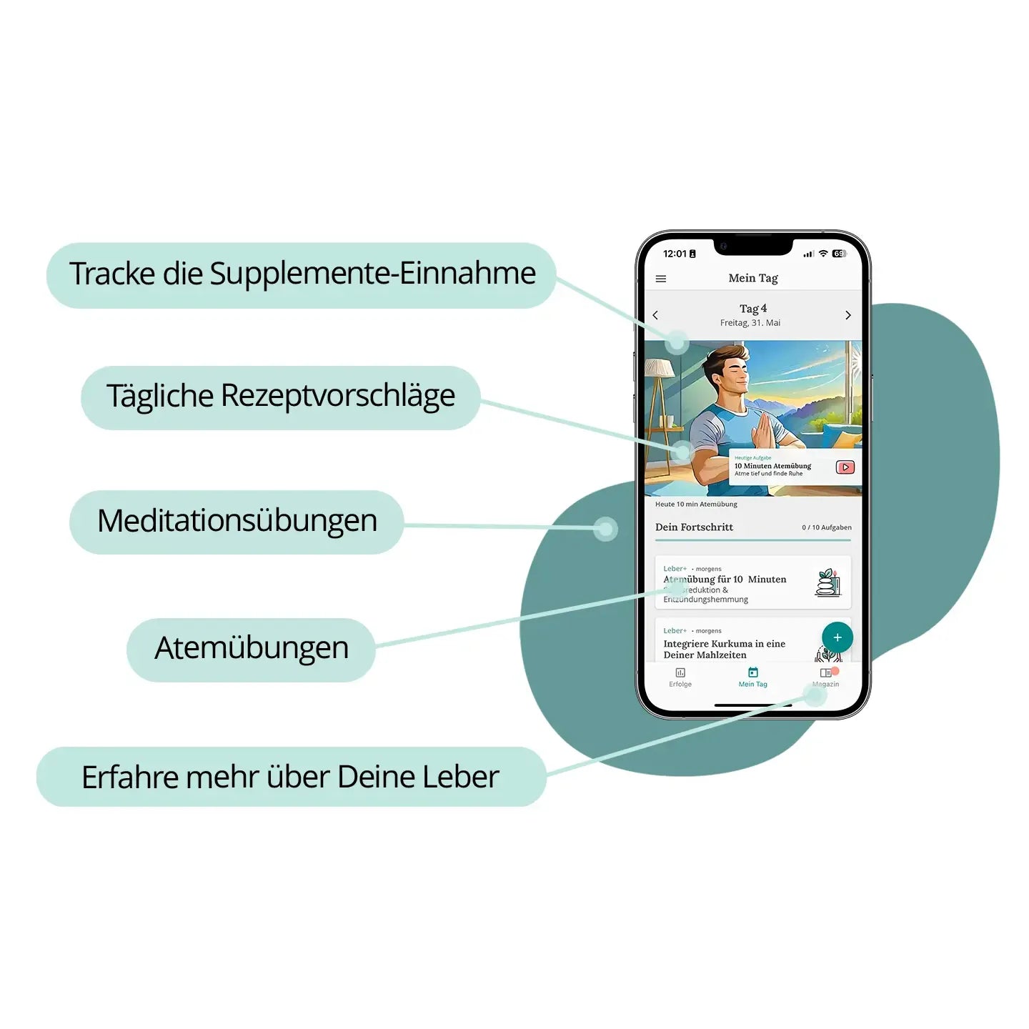 Leber+ Box - 14-Tage Intensivkur