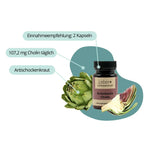 Leber+ Box - 14-Tage Intensivkur