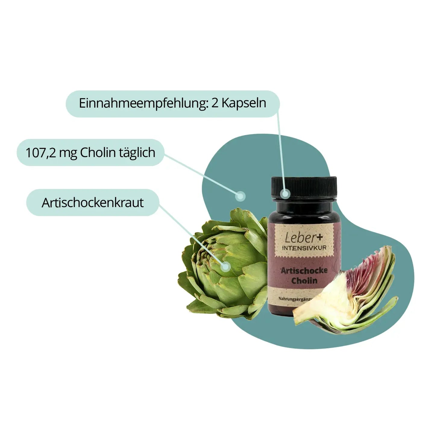 Leber+ Box - 14-Tage Intensivkur