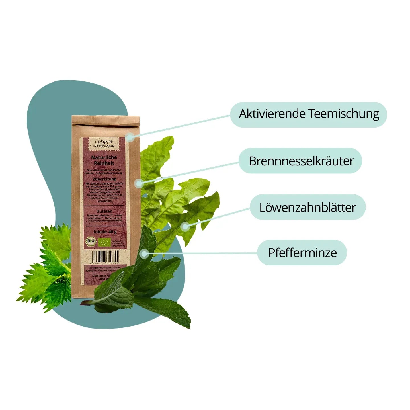 Leber+ Box - 14-Tage Intensivkur
