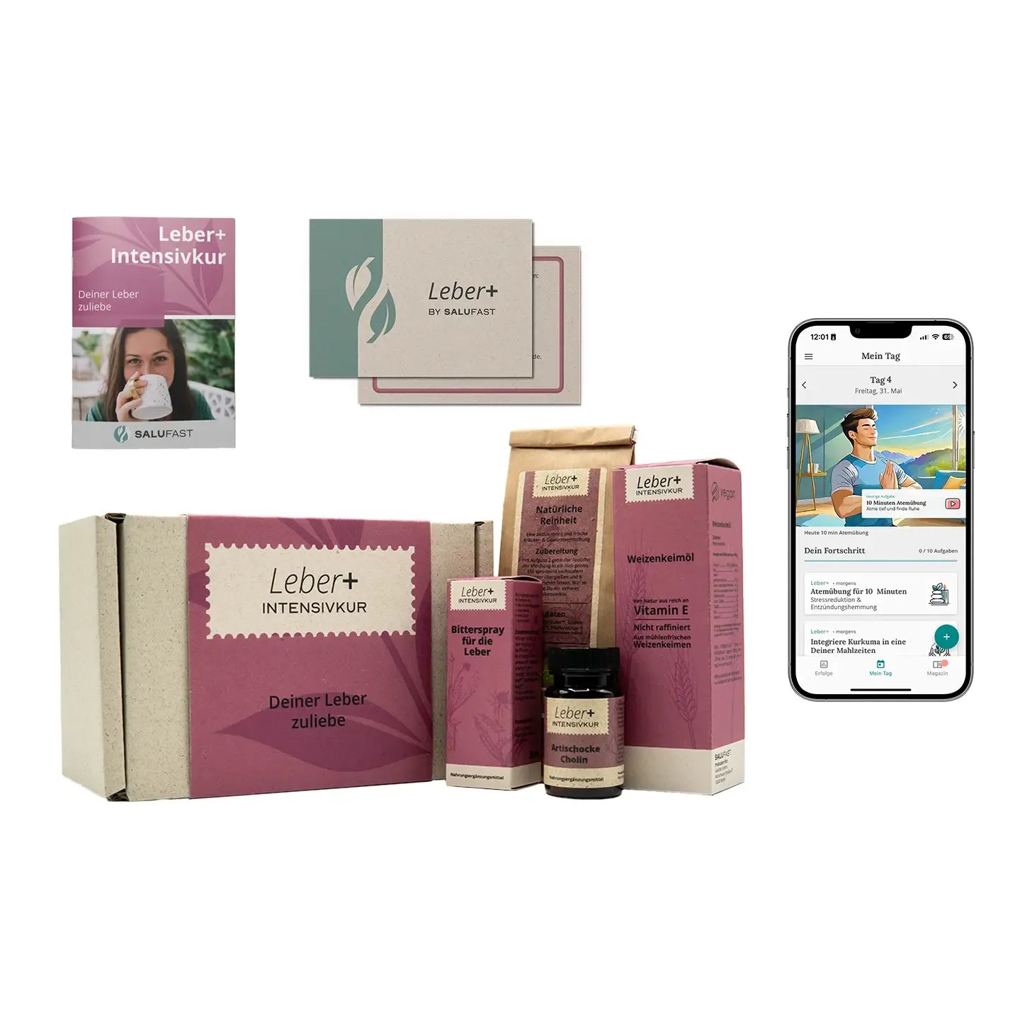 Leber+ Box - 14-Tage Intensivkur