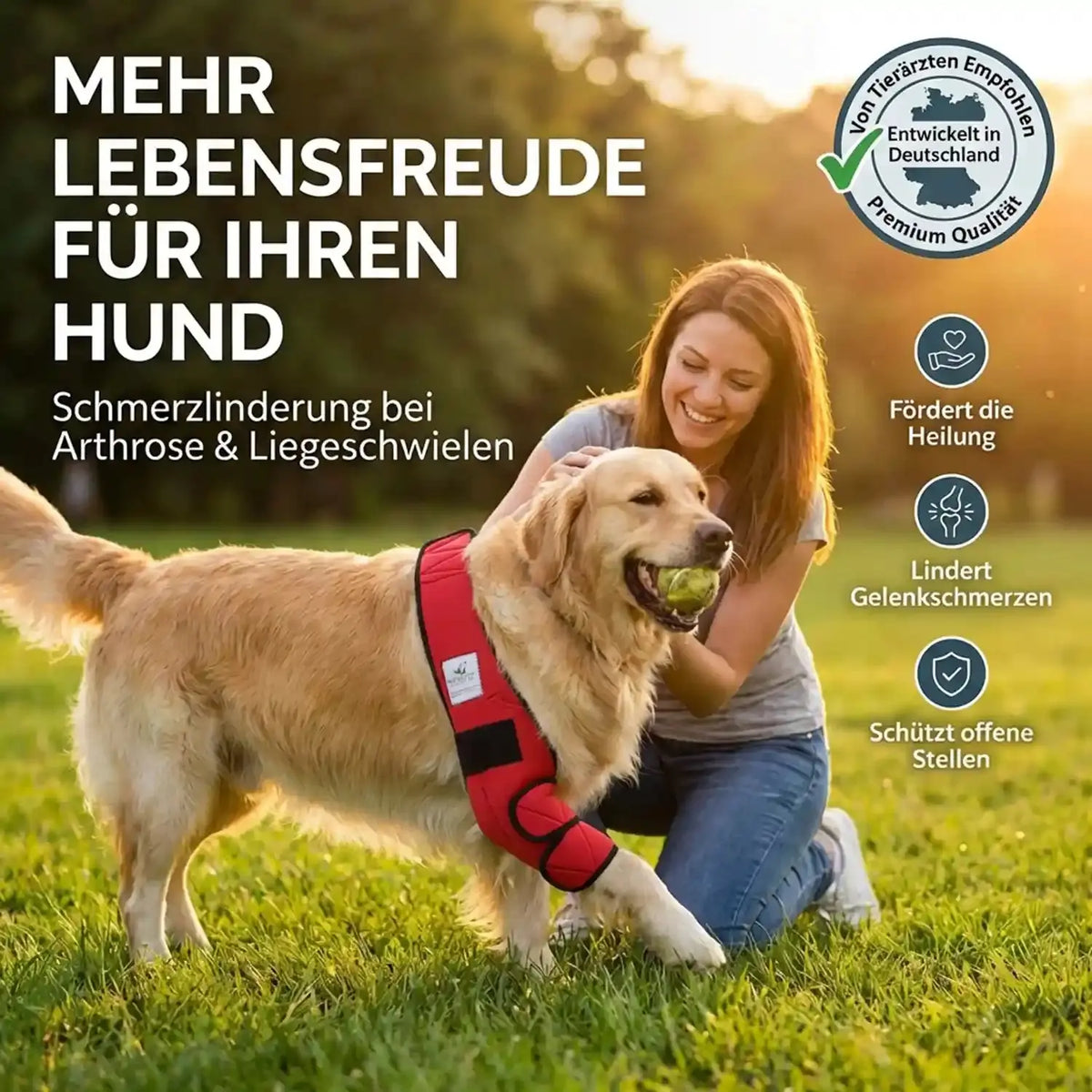 Liegeschwielen Bandage für Hunde