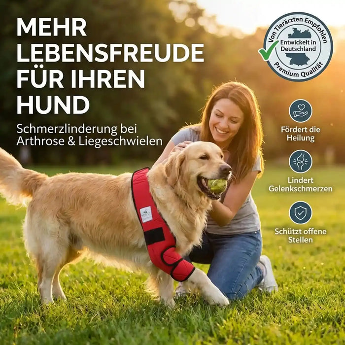 Liegeschwielen Bandage für Hunde