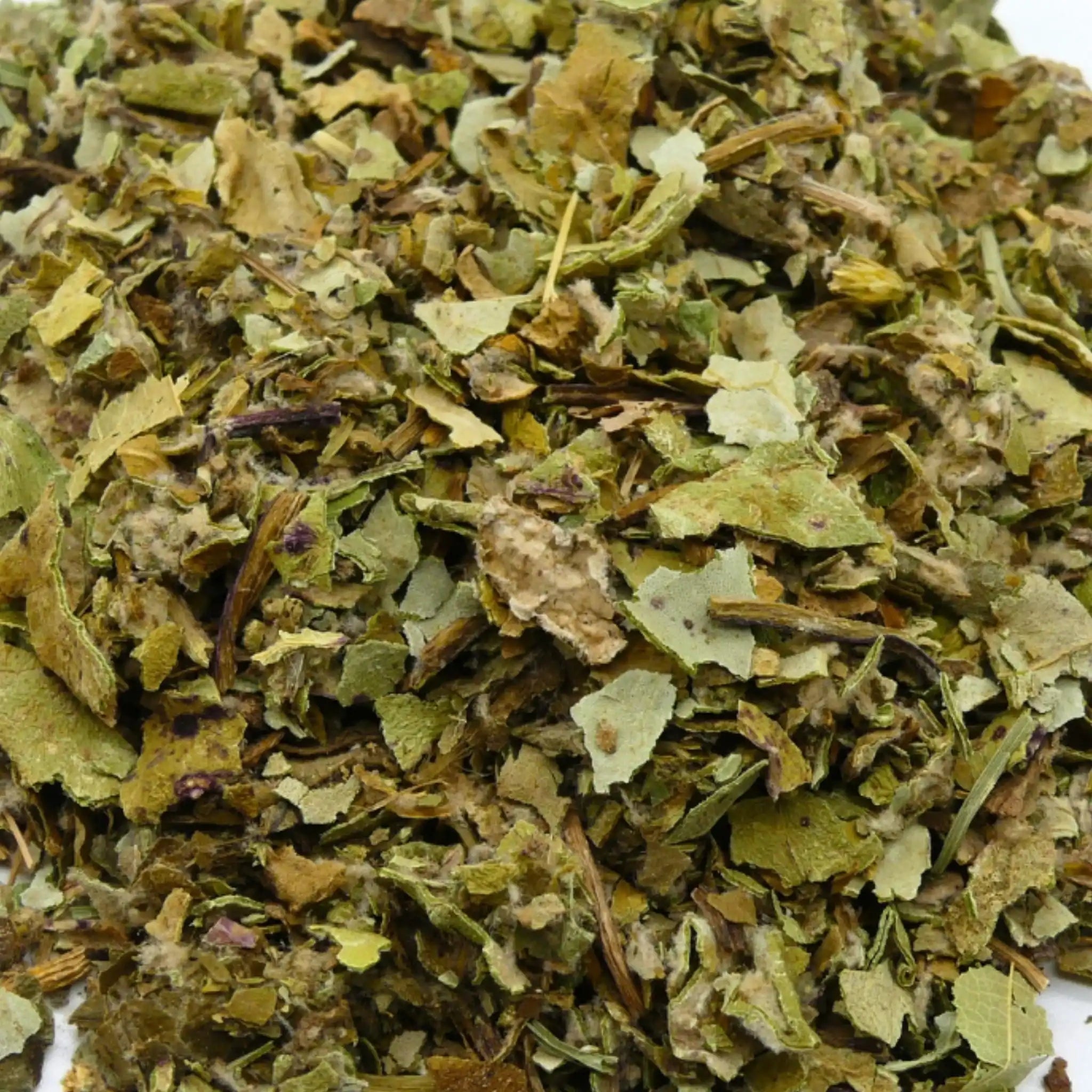 Lindenblätter Für Pferde Immunsystem Und Verdauung Natürliches Zusatzfutter Zur Unterstützung Von Abwehrkräften Nerven by s`Queed