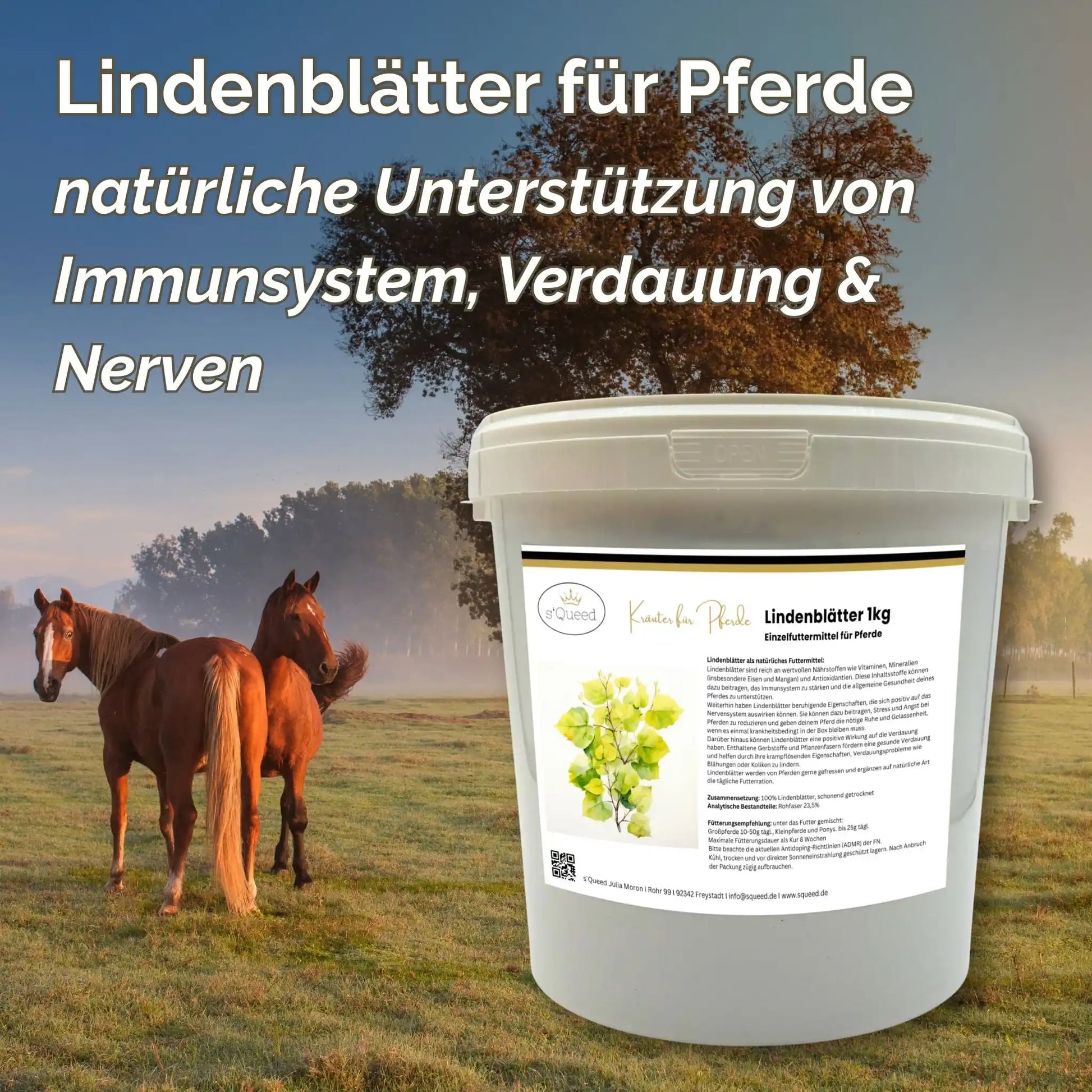 Lindenblätter Für Pferde Immunsystem Und Verdauung Natürliches Zusatzfutter Zur Unterstützung Von Abwehrkräften Nerven by s`Queed