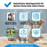 AnoKath® Liquid – Säure-Basen-Haushalt beim Hund unterstützen