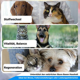 AnoKath® Liquid – Säure-Basen-Haushalt beim Hund unterstützen