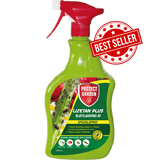 Lizetan Plus Blattlausfrei AF 1000 ml Blattläuse
