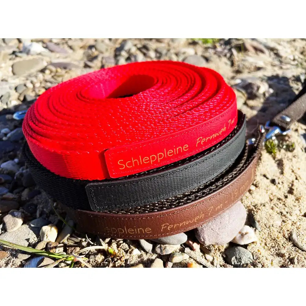 Doppel-Schleppleine FERNWEH aus BioThane®/POP - Band by Der Hundegefährte