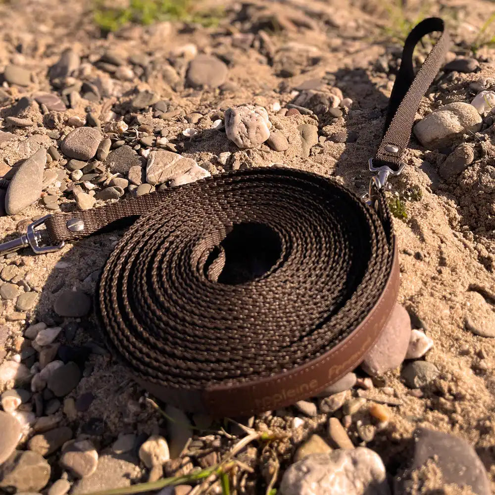 Schleppleine FERNWEH aus BioThane®/POP - Band by Der Hundegefährte