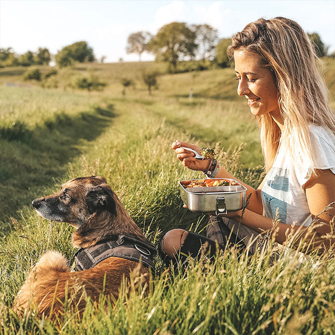 Lunchbox Classic XL Auslaufsichere Edelstahl Brotdose Mit Flexibler Trennwand Und Zwei Fächern 1400 Ml Fassungsvermögen