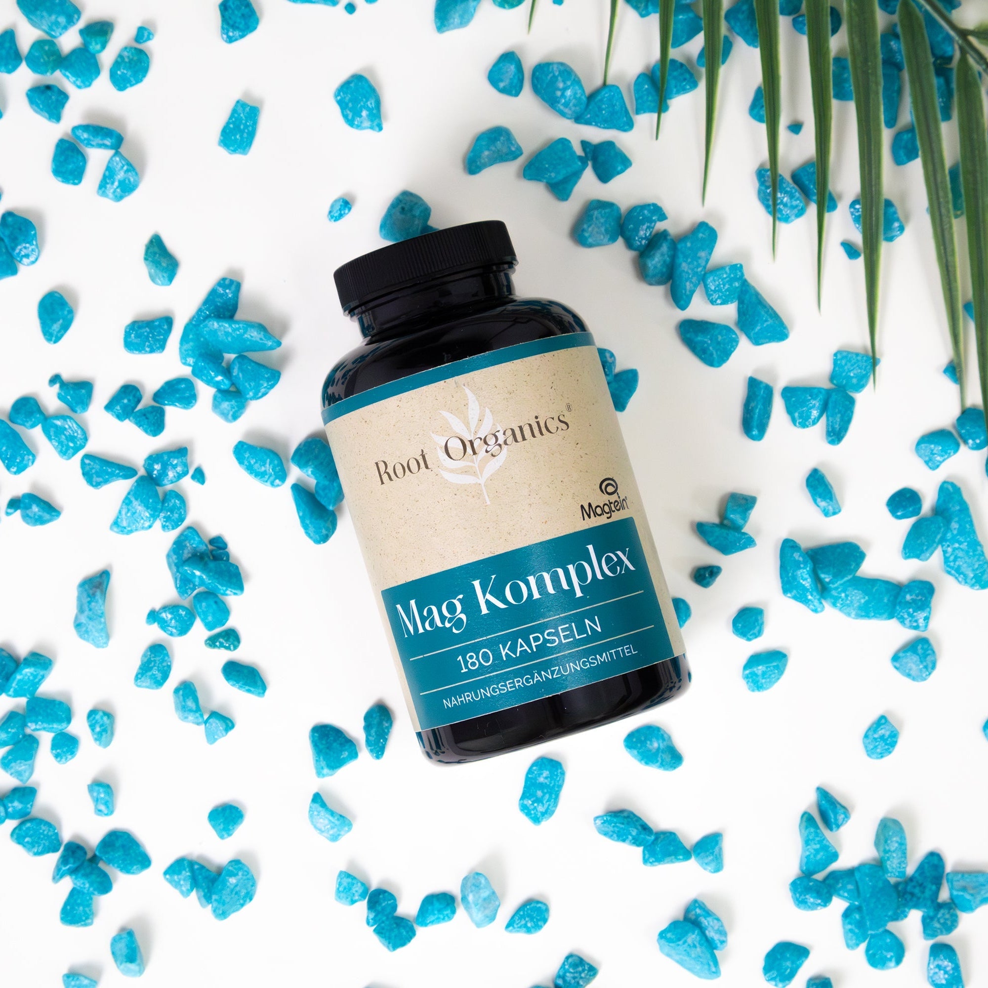 Mag Komplex Kapseln mit Magtein®
