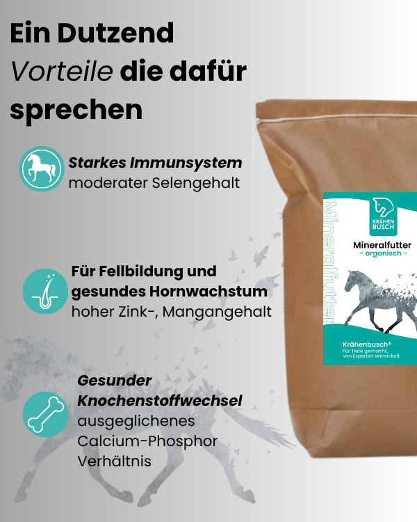 Krähenbusch Mineralfutter Organisch Für Alle Pferderassen Mit Vollständiger Versorgung Von Mineralien Und Vitaminen