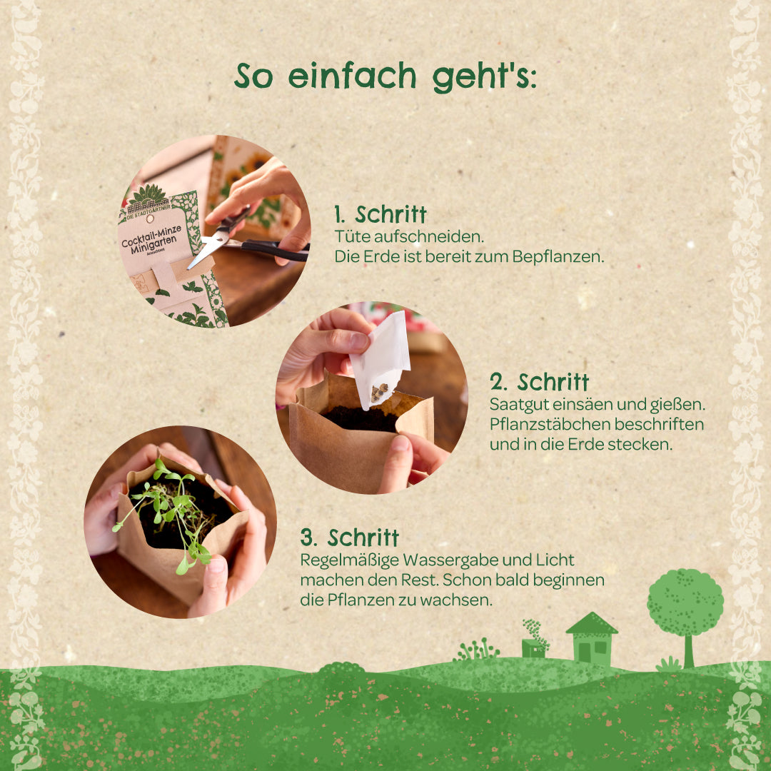 Anzuchtset – Minigarten BIO-Basilikum