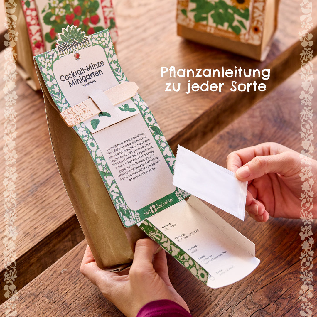 Anzuchtset – Minigarten BIO-Chili