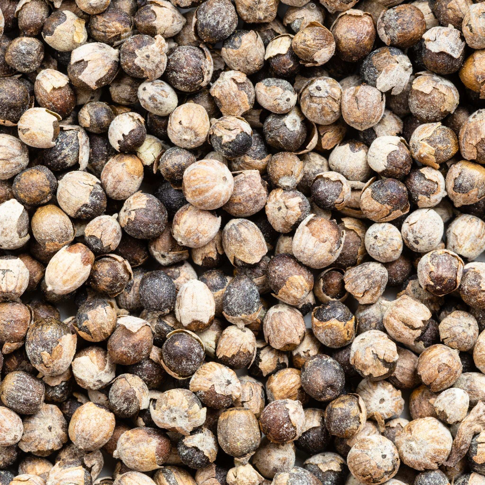 Mönchspfeffer Für Pferde Natürliche Hilfe Bei Rosse Stuten Hormonschwankungen Balance Und Unterstützung by s`Queed