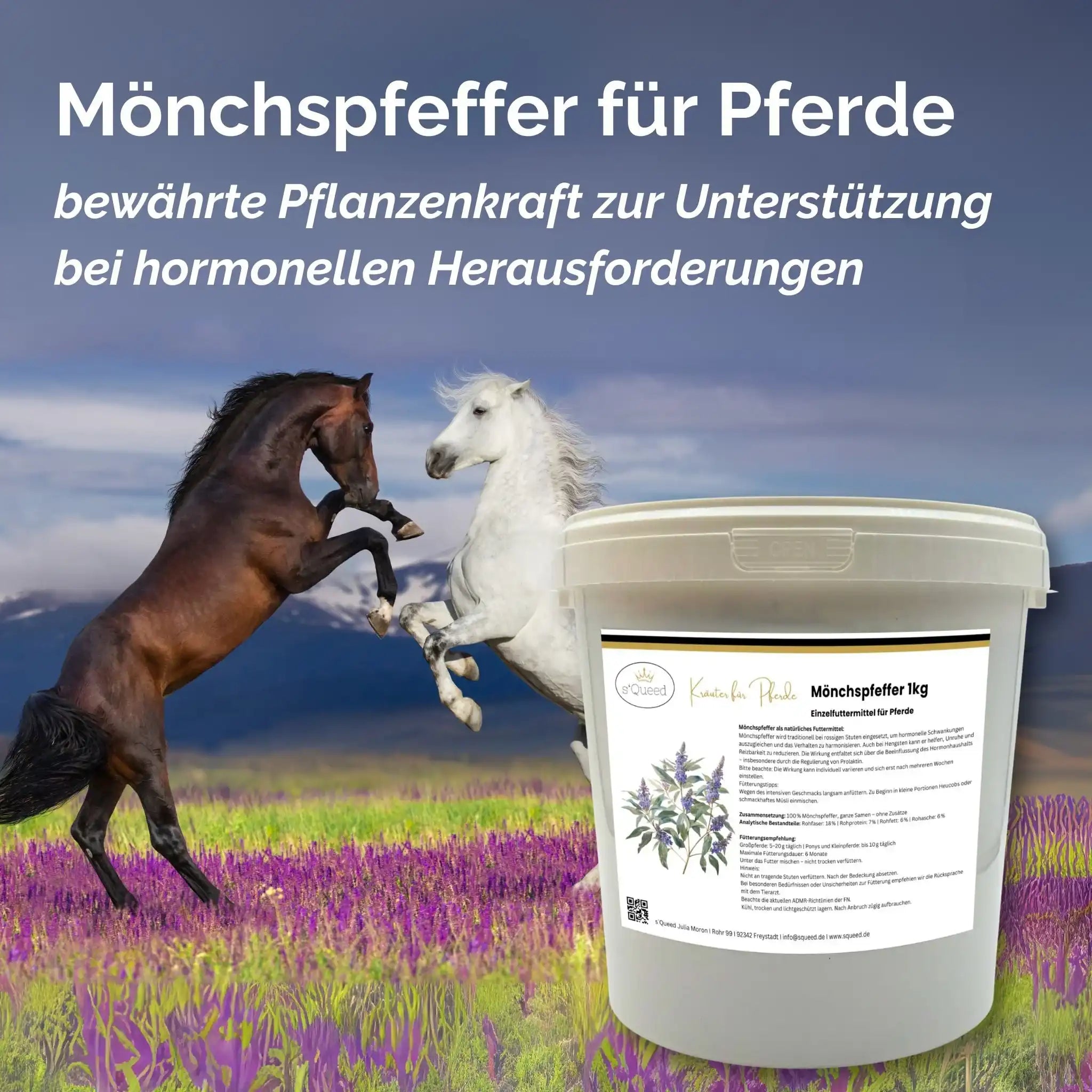 Mönchspfeffer Für Pferde Natürliche Hilfe Bei Rosse Stuten Hormonschwankungen Balance Und Unterstützung by s`Queed