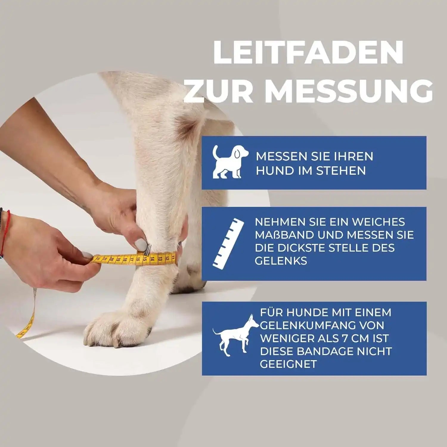 Medium Handgelenksbandage für Hunde by Nature Pet