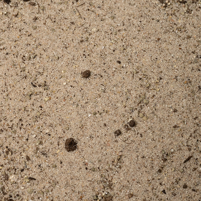 NutriBasis