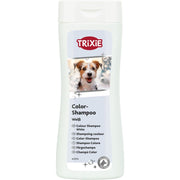 Color-Shampoo