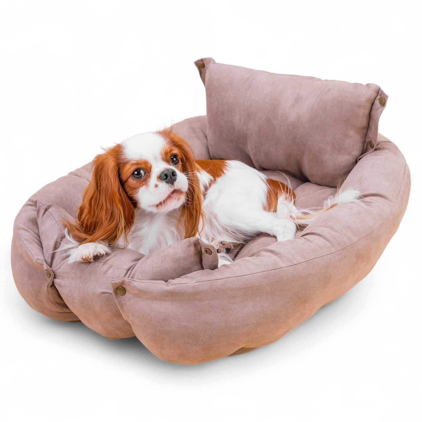 Leichte Matte mit Kissen mit drei verschiedenen Liegemöglichkeiten by Benny Burton