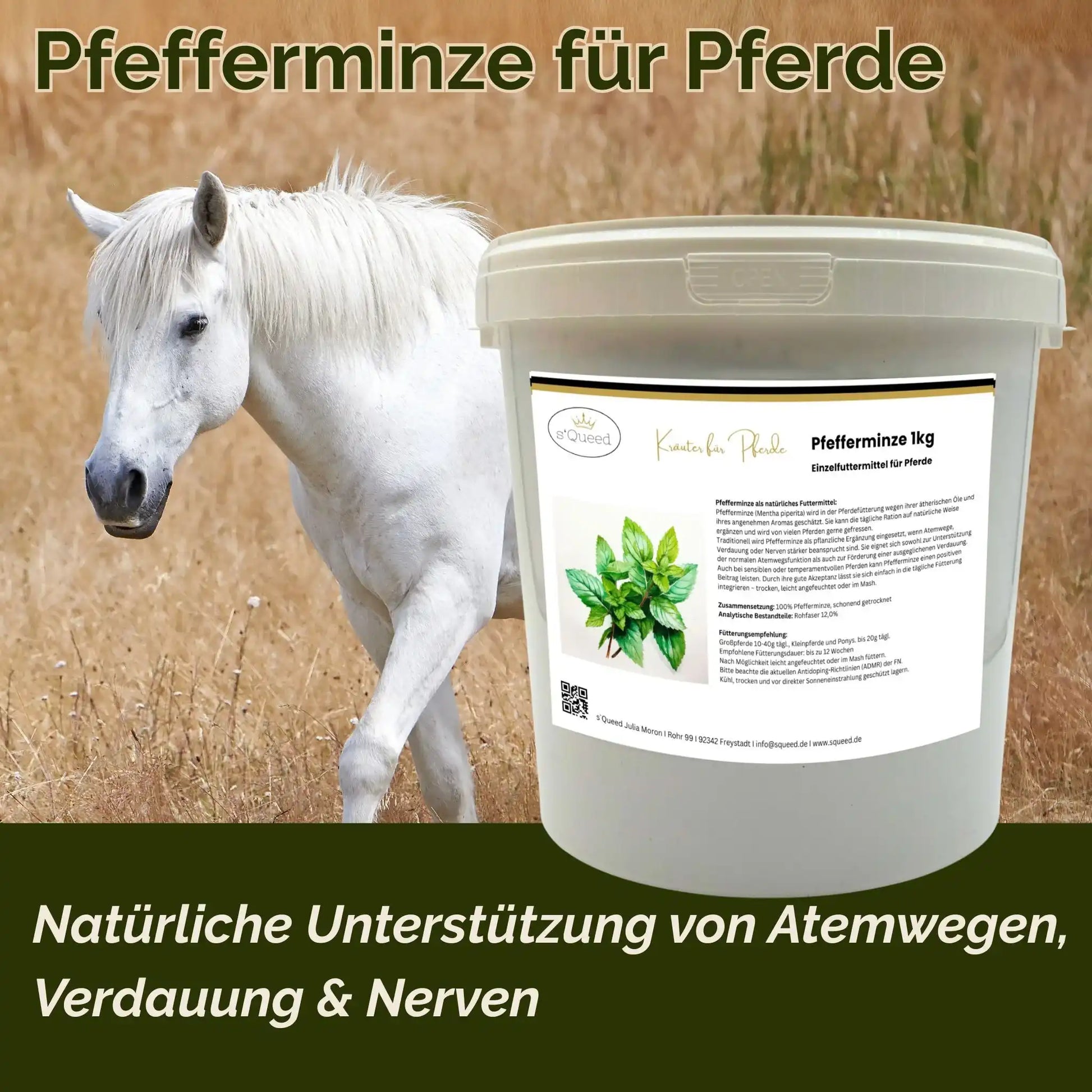 Pfefferminze Für Pferde 1kg Natürliche Unterstützung Für Atemwege Verdauung Und Nerven Als Einzelfuttermittel by s`Queed