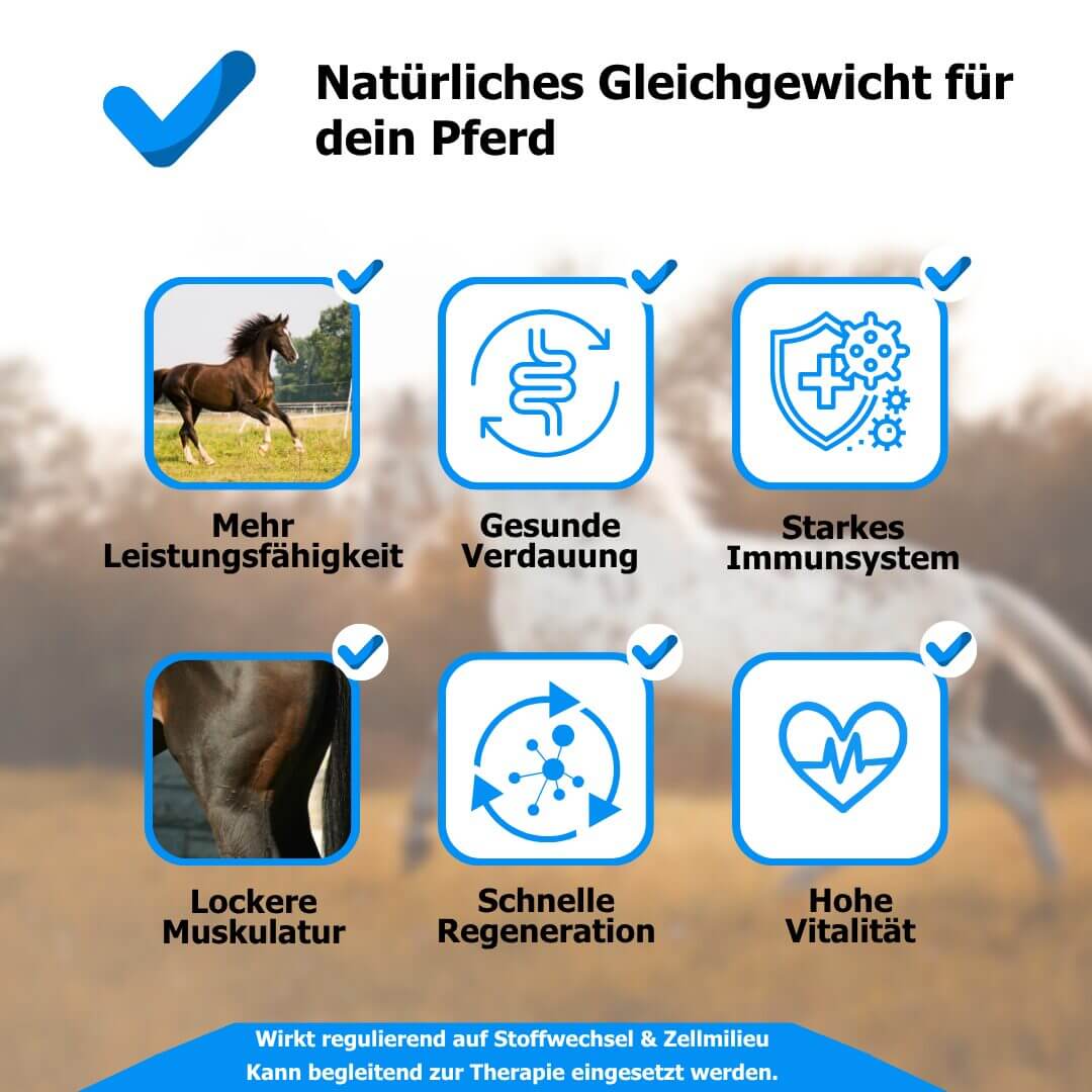 AnoKath® Liquid – Säure-Basen-Haushalt beim Pferd unterstützen
