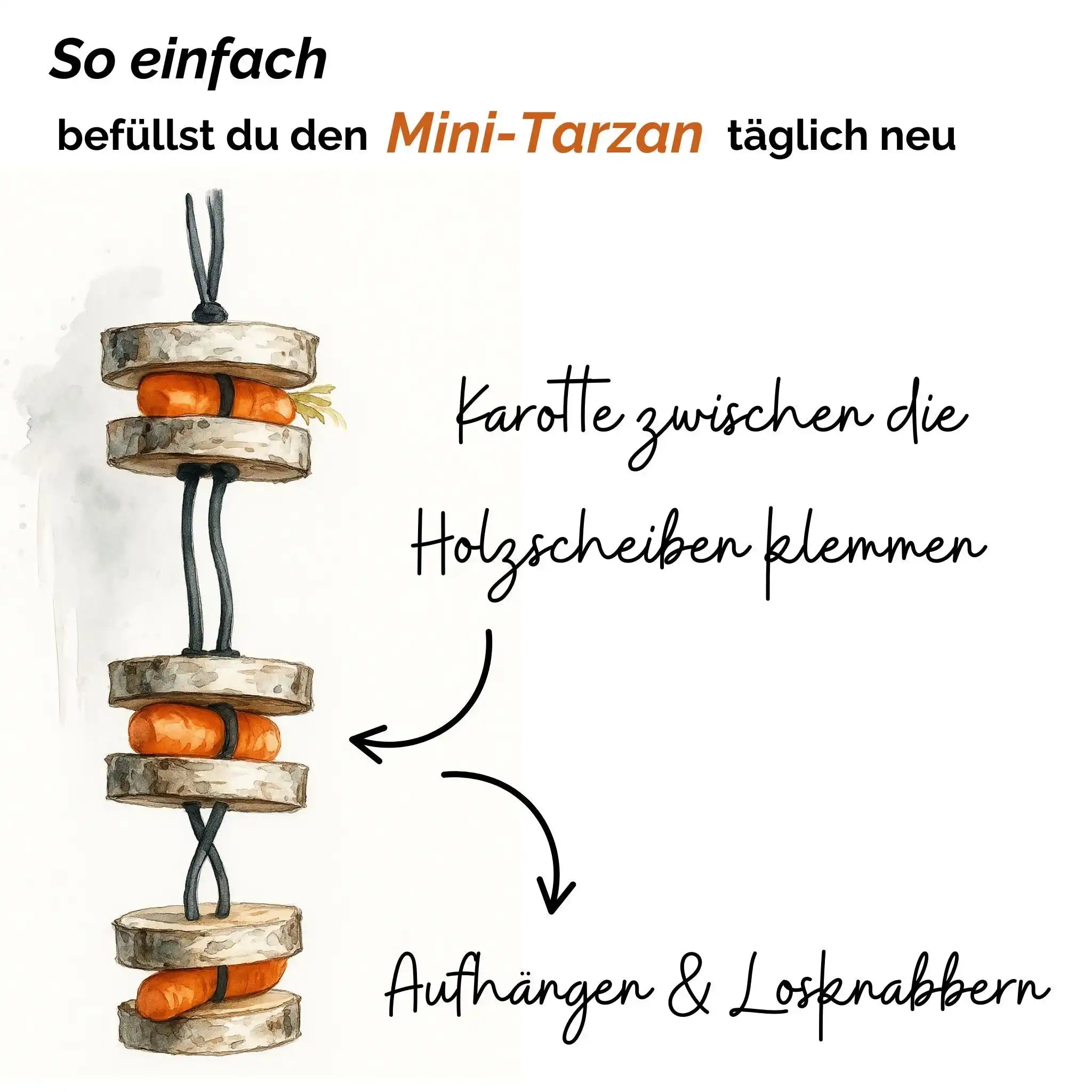 Pferdespielzeug Mini Tarzan Pferdebeschäftigung Aus Birkenholz Gegen Langeweile Wiederbefüllbar Mit Karotten Leckerlis by s`Queed