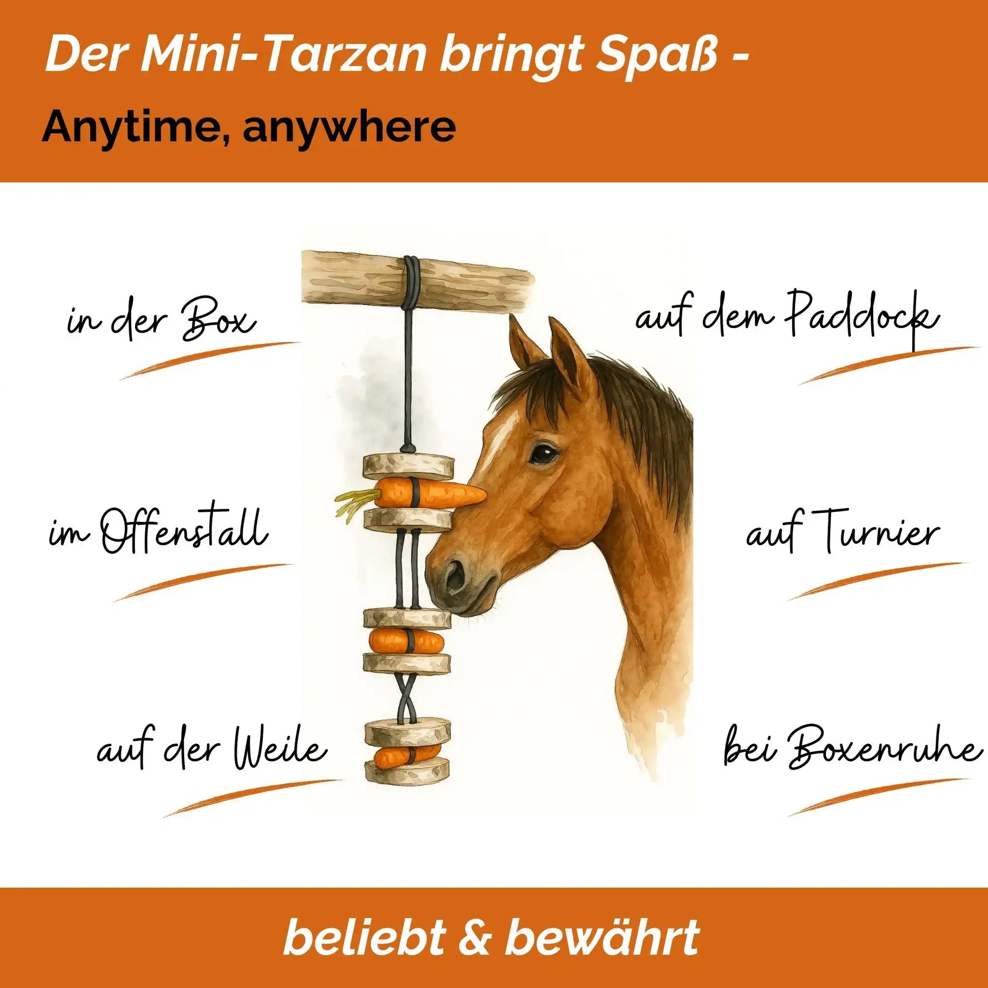 Pferdespielzeug Mini Tarzan Pferdebeschäftigung Aus Birkenholz Gegen Langeweile Wiederbefüllbar Mit Karotten Leckerlis by s`Queed