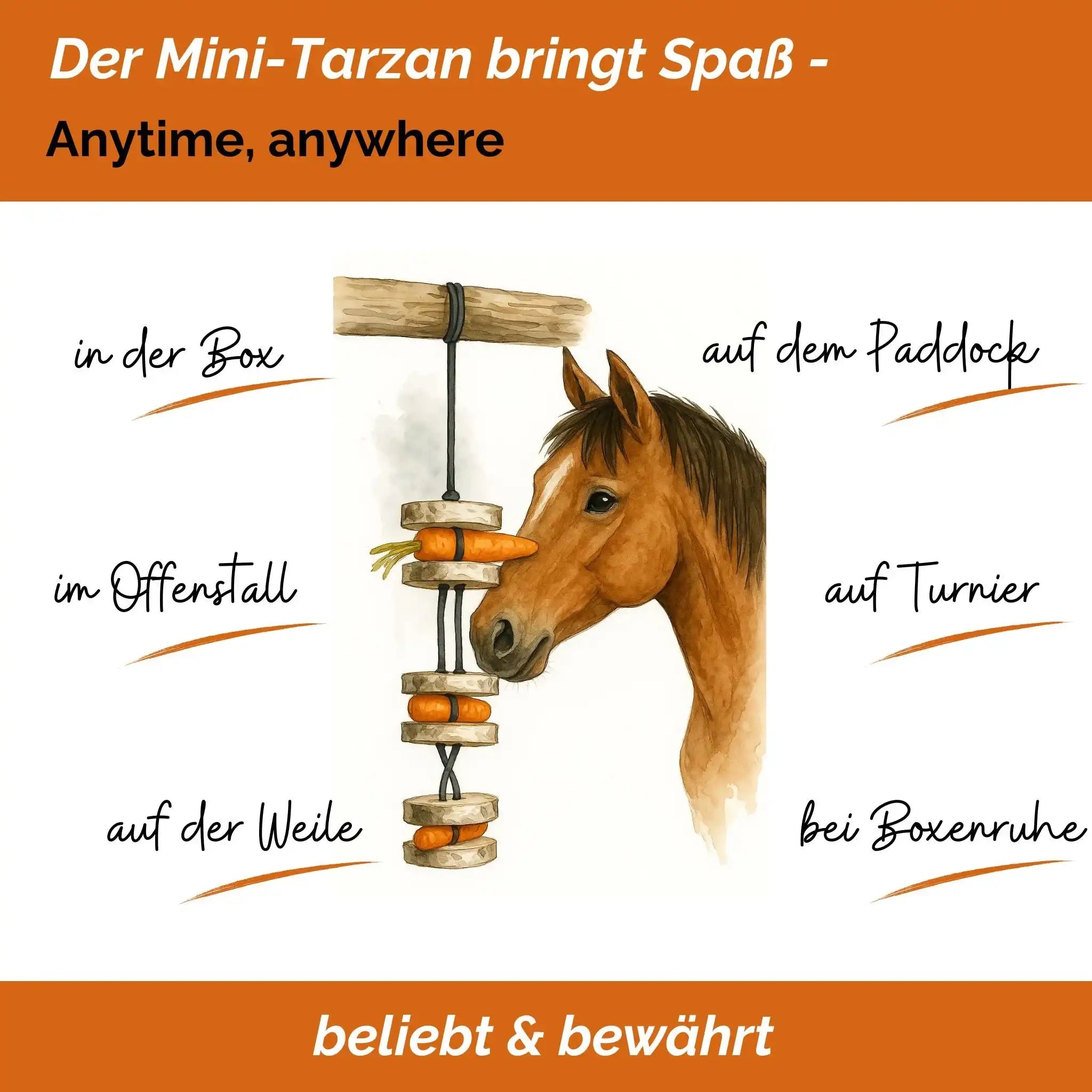 Pferdespielzeug Mini Tarzan Pferdebeschäftigung Aus Birkenholz Gegen Langeweile Wiederbefüllbar Mit Karotten Leckerlis by s`Queed